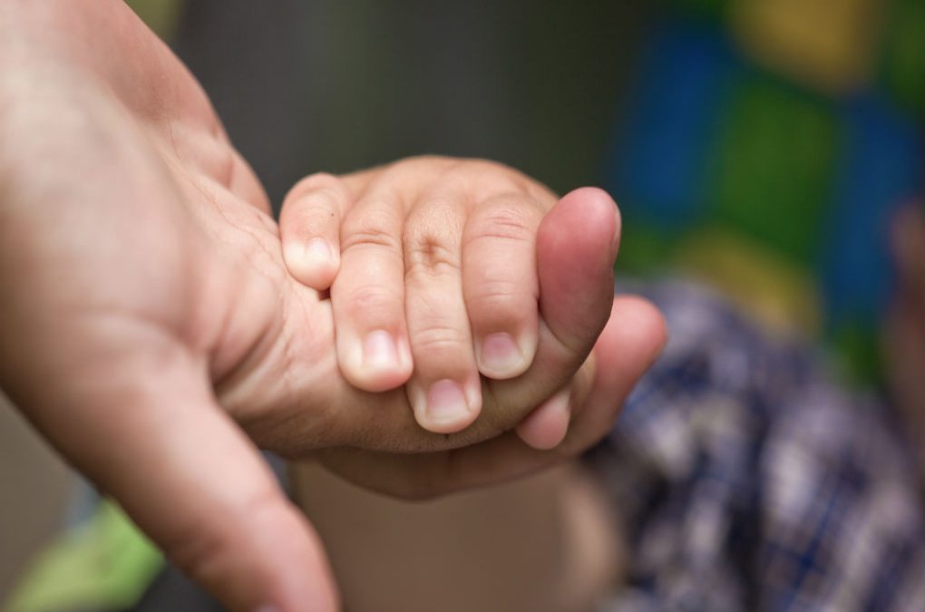Close-up of small child's hand being held by an adult